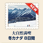 �J�i�_8����