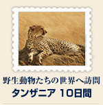 �^���U�j�A10����