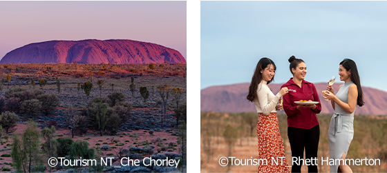 ウルルのサンセット&サンライズ(イメージ)