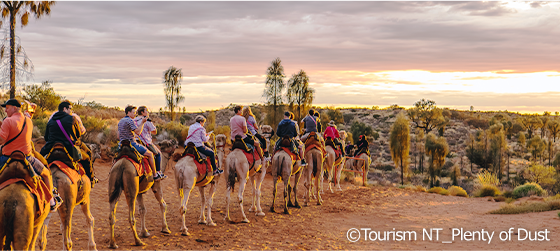ラクダに乗って日の出を鑑賞(イメージ)