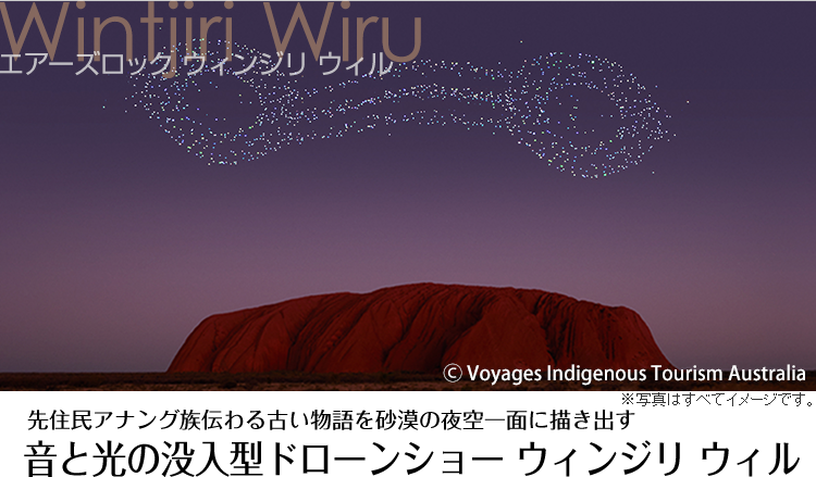 暗闇に灯る光が幻想的な空間を演出 世界の中心と呼ばれる砂漠に現れた光の芸術