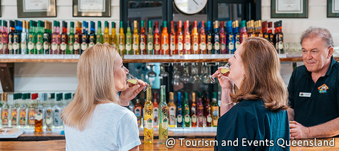 国立公園マウントタンボリン(イメージ)