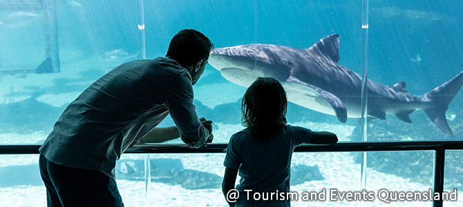 シーワールド(イメージ)