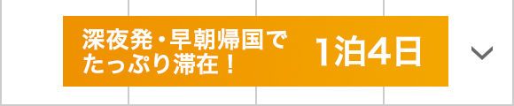 深夜発・早朝帰国でたっぷり滞在！1泊4日