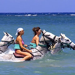馬の乗ってビーチに入る、人気ビーチライド