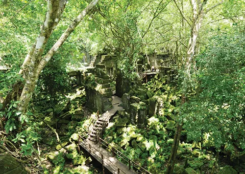 写真:ベンメリア