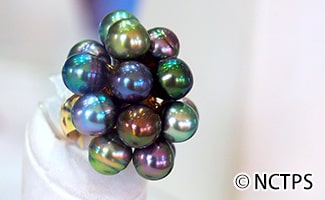 ブラックパールアクセサリー