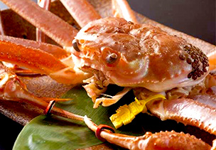 北陸　あわら温泉　美松