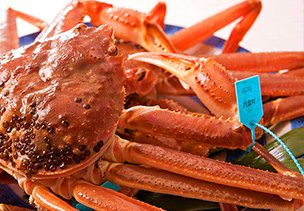 星空の降りそそぐ宿　金沢湯涌温泉　　あたらしや