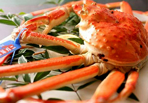 出雲・玉造温泉　白石家