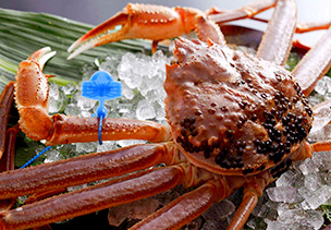 きのさきの宿　緑風閣