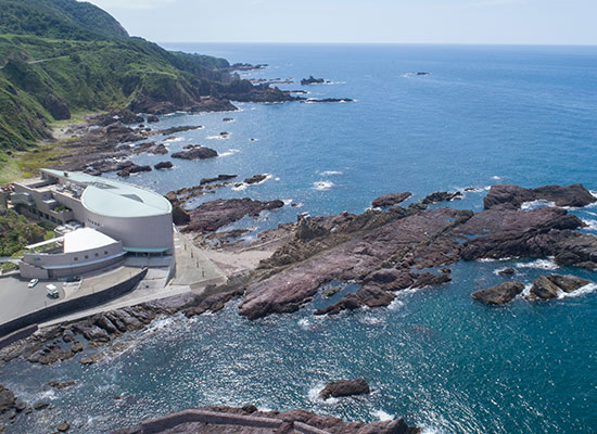 男鹿水族館GAO