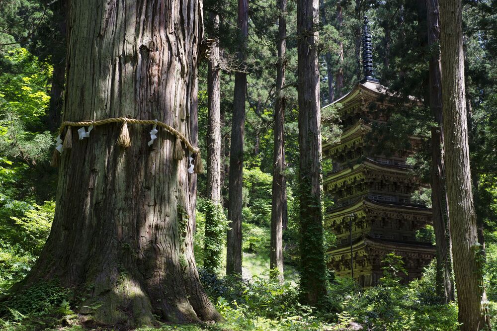 出羽三山神社