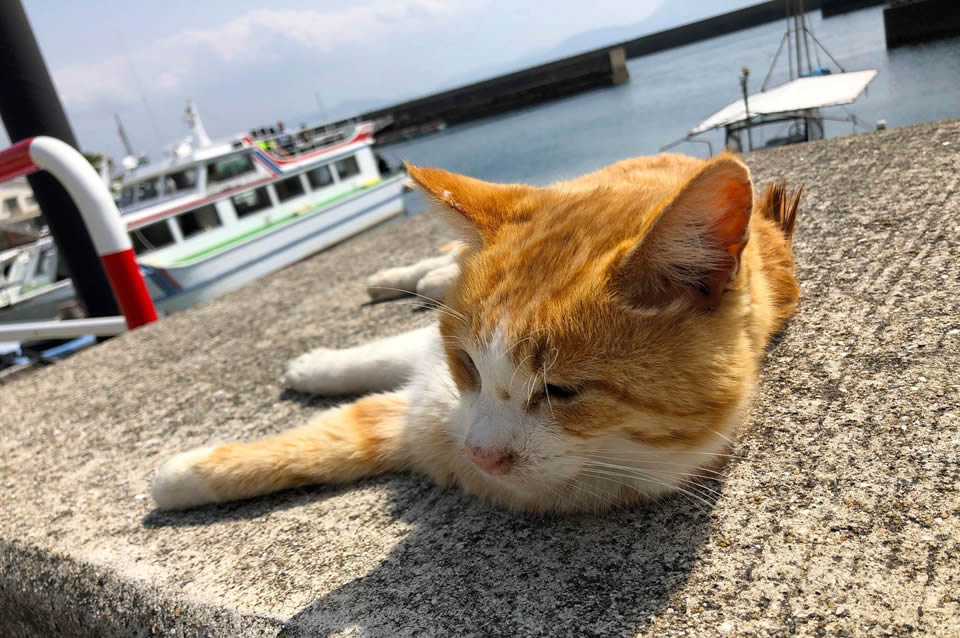 湯島