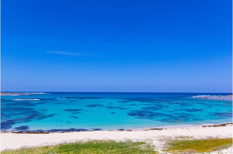 土盛海岸