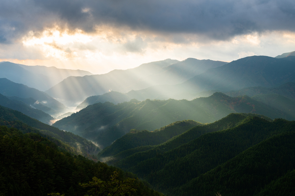 高野山
