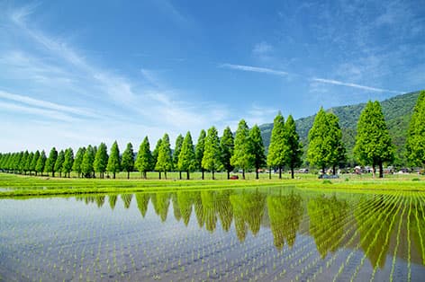 湖西・高島・マキノ